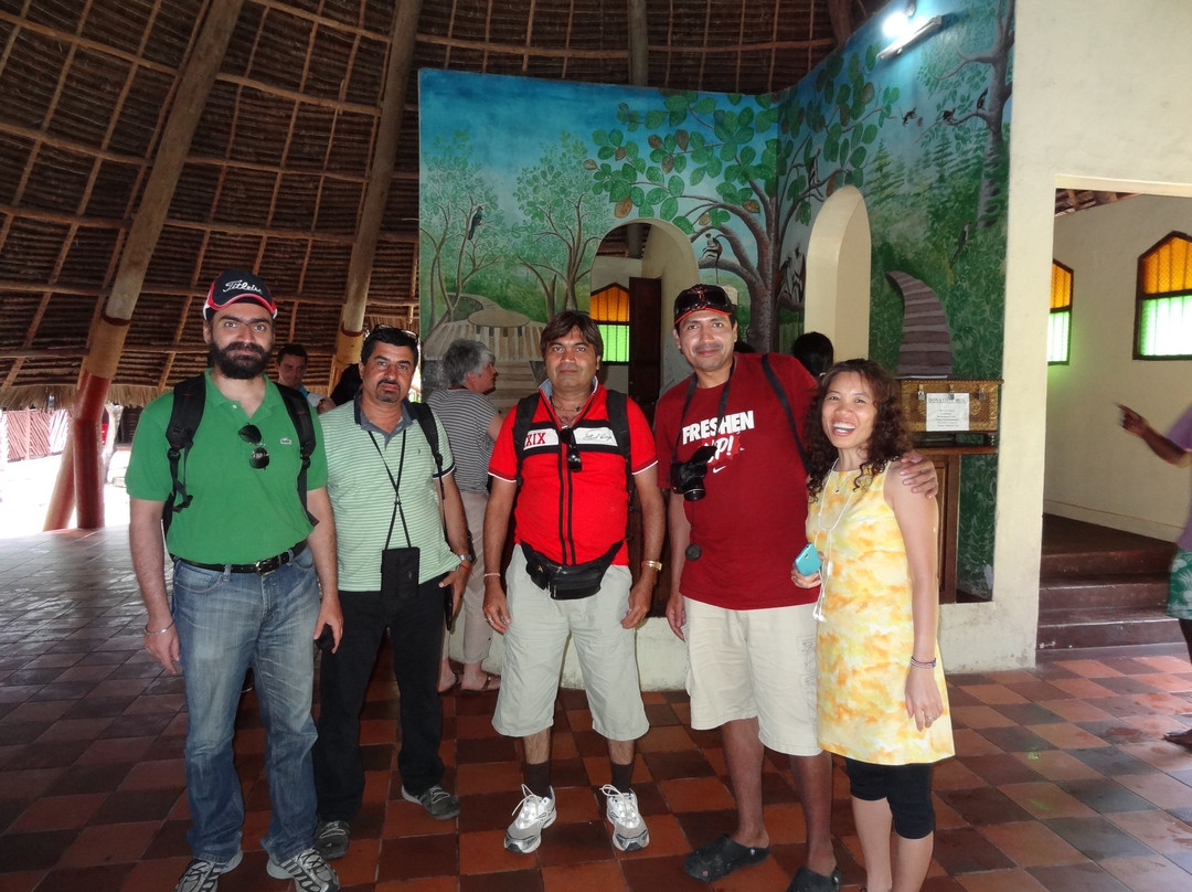 Jozani Chwaka Bay National Park-桑给巴尔岛必去景点