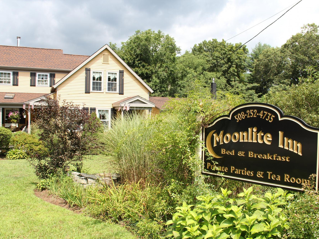 Moonlite Inn主图