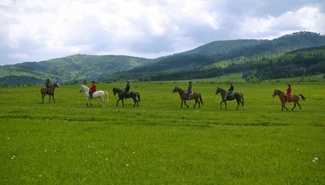Equestrian Center Sivek-韦林格勒必去景点
