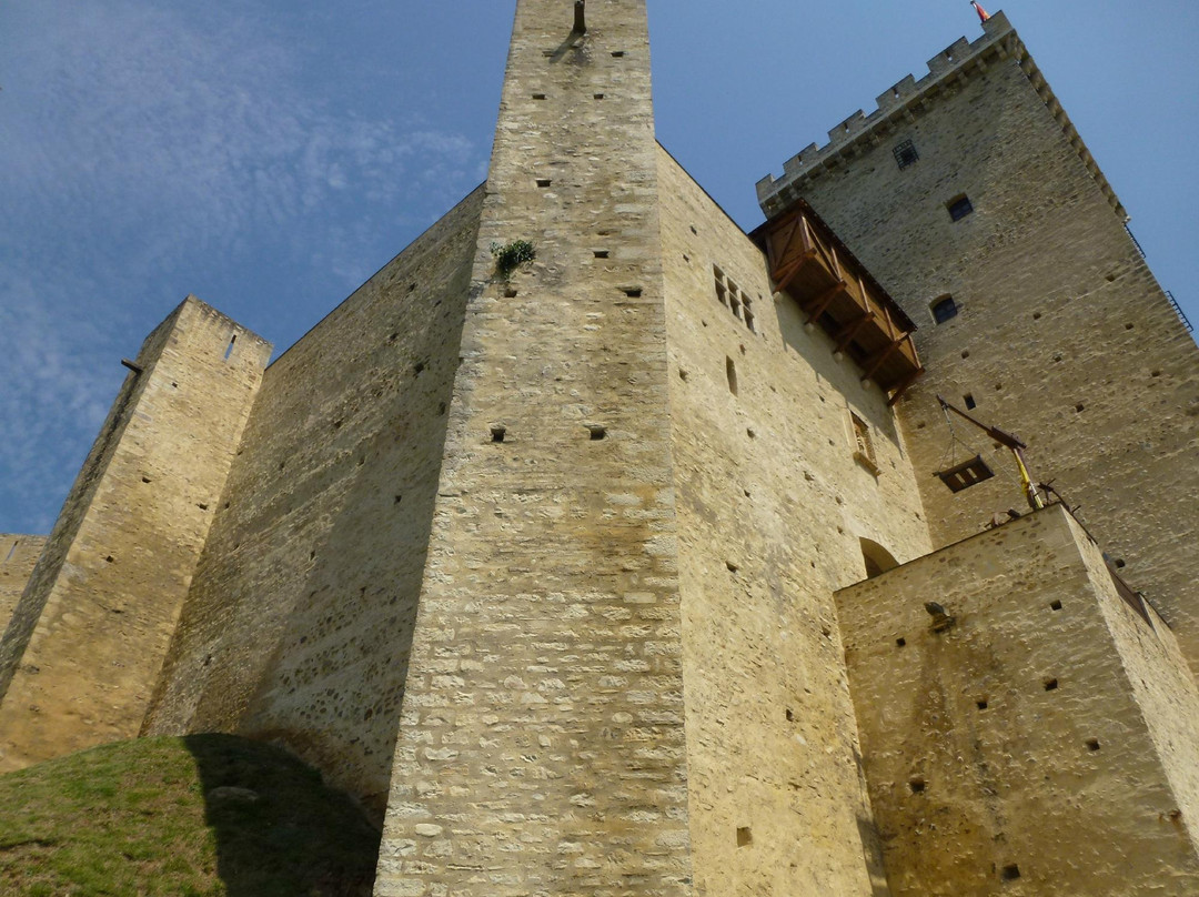 Chateau de Mauvezin景点图片