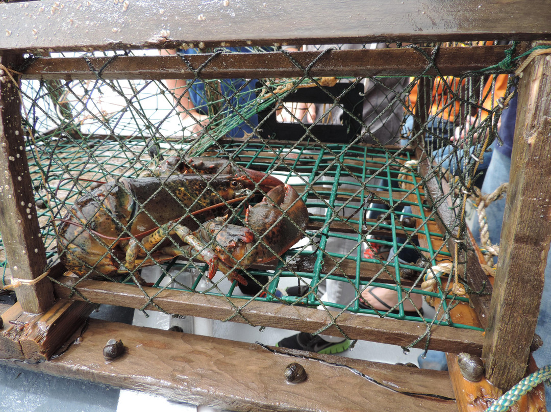 Tightline Tours-Montague必去景点