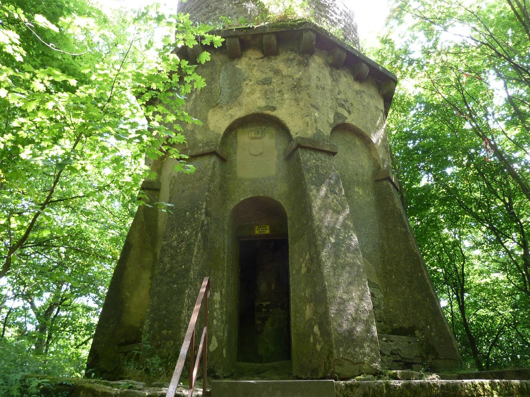Katzenbuckel Observation Tower景点图片