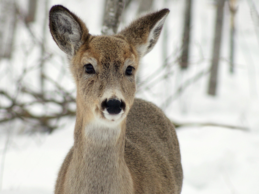 Fort Whyte Alive-温尼伯必去景点