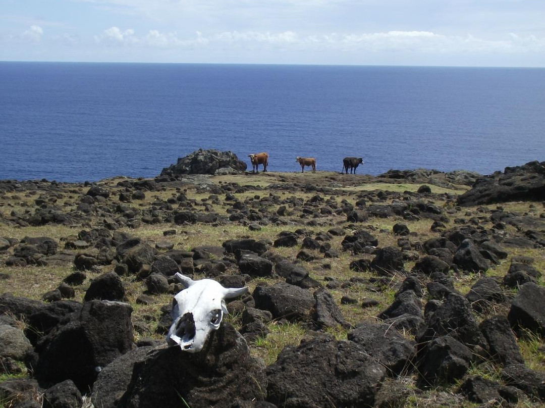 Ana Te Pahu-复活节岛必去景点