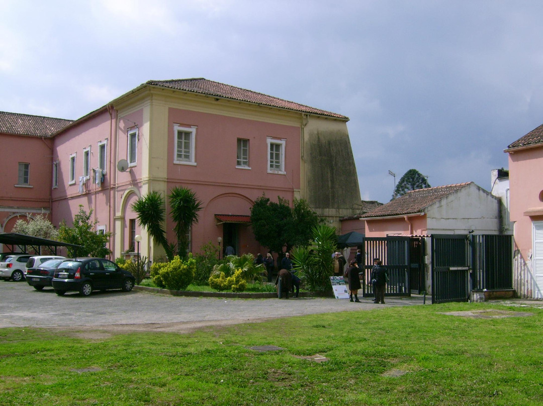 Palazzo al Boschetto景点图片