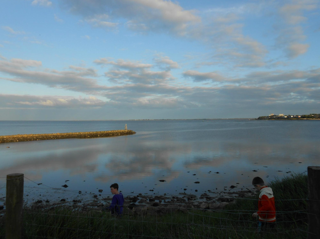 Ferrybank Camping & Caravan Park
