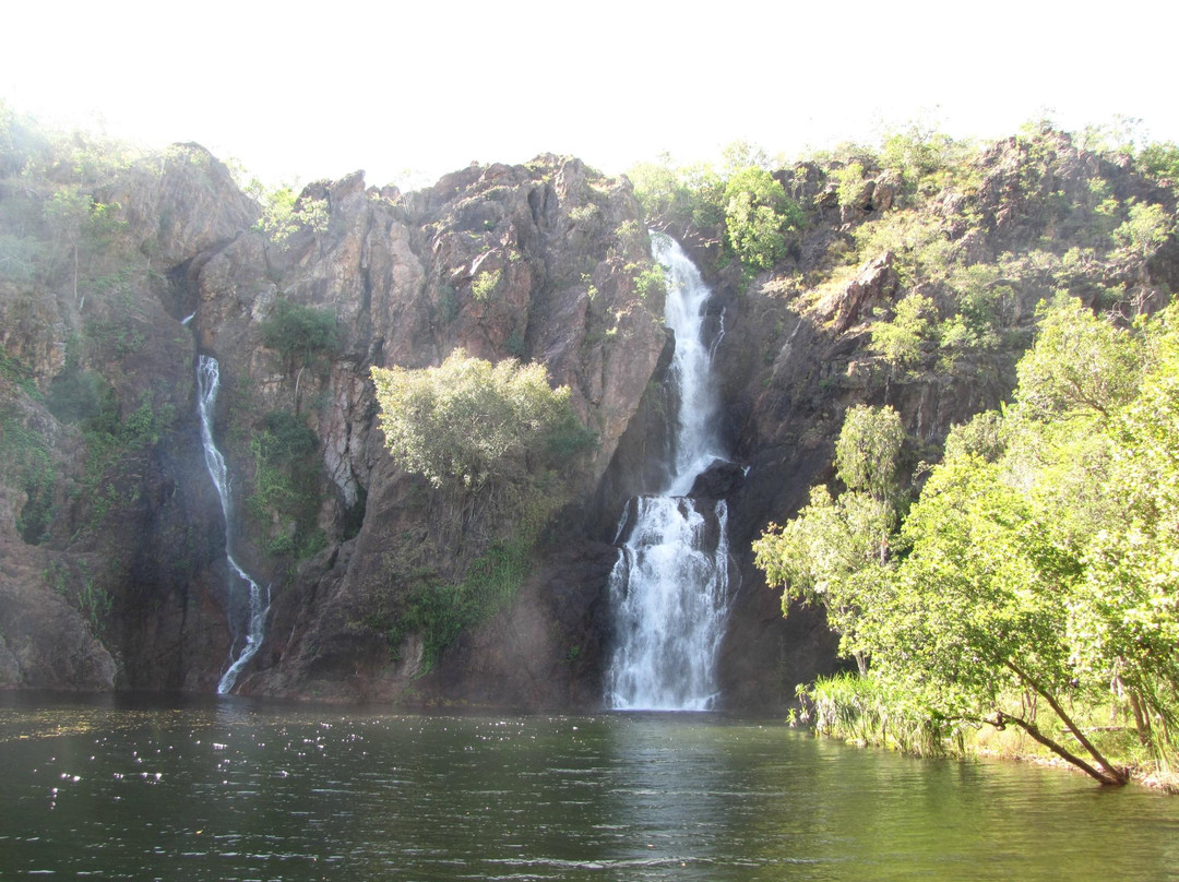 Wayoutback Australian Safaris景点图片