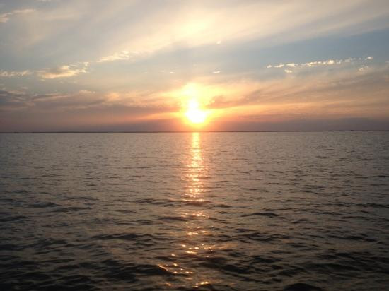 Pelican State Fishing Charters - Day Tours景点图片