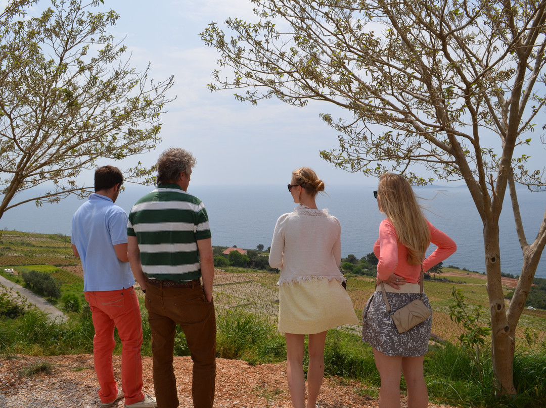 Dubrovnik Wine Tours景点图片