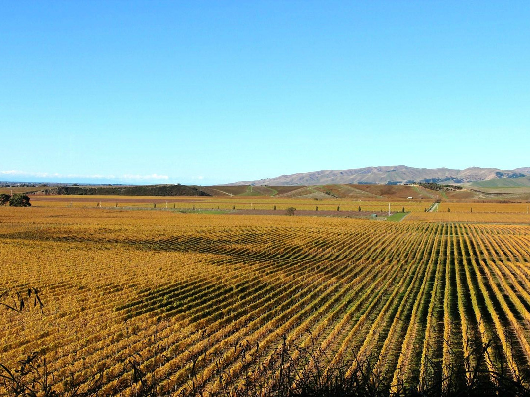 Marlborough Tours景点图片