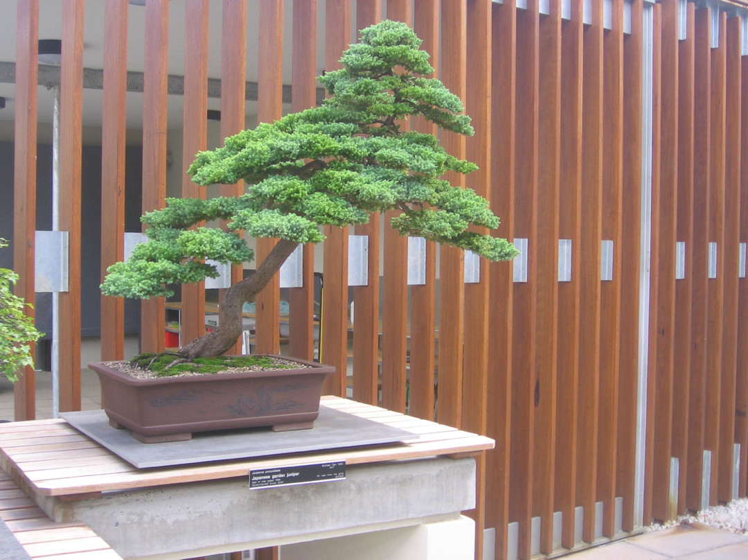 National Arboretum Canberra-Molonglo Valley必去景点