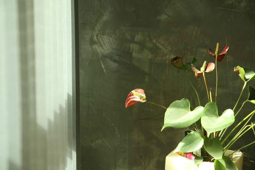 Hotel San Diego主图