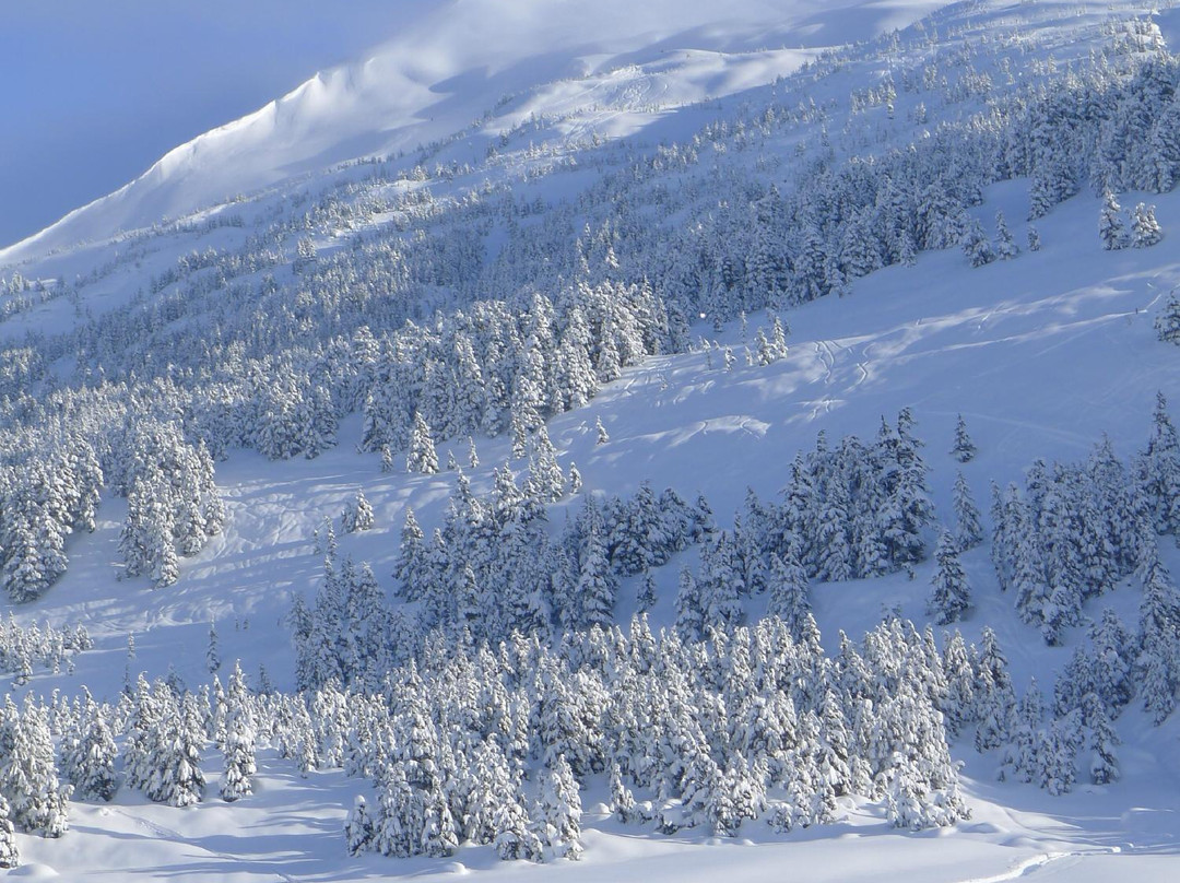 McCarthy旅游攻略图片