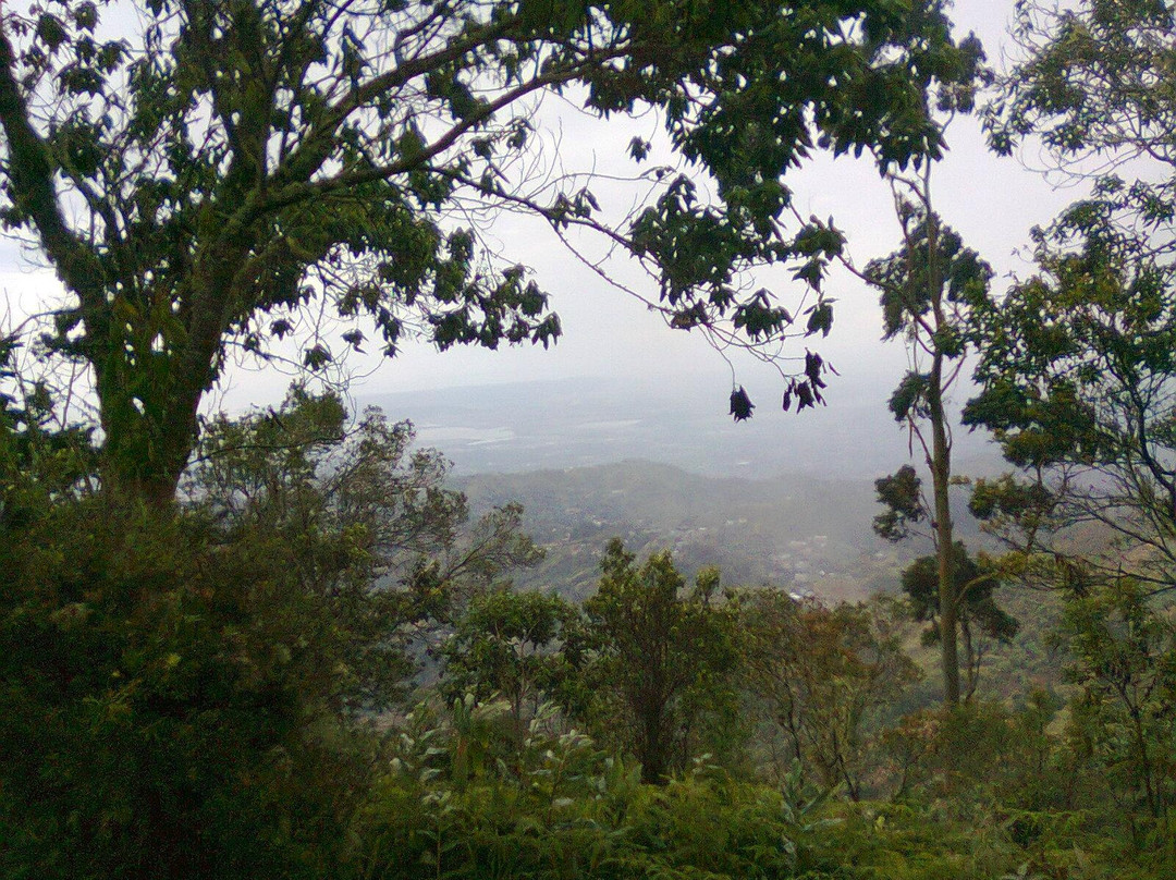 Holywell Park-金斯敦必去景点