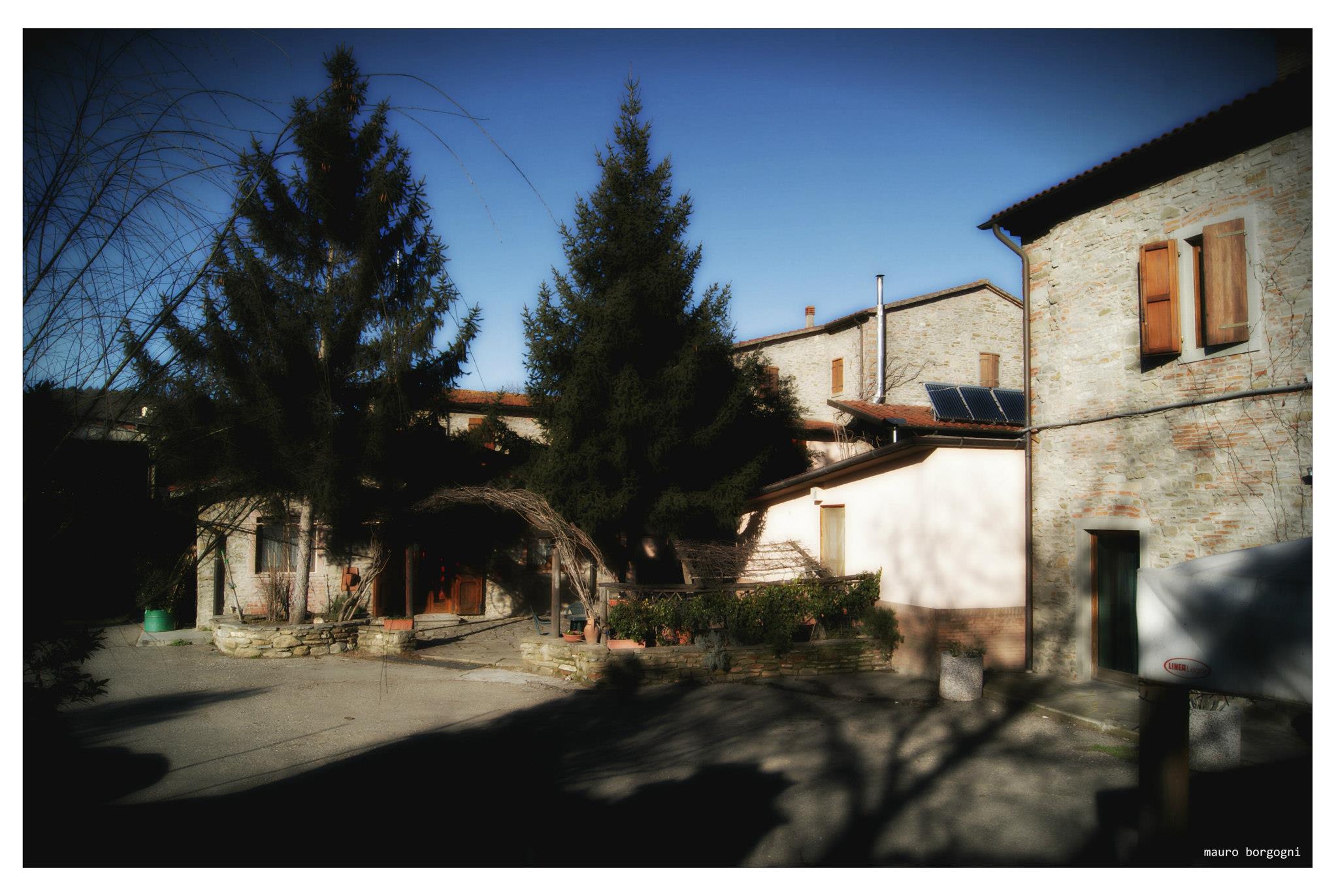 Villa Borgogni-官方