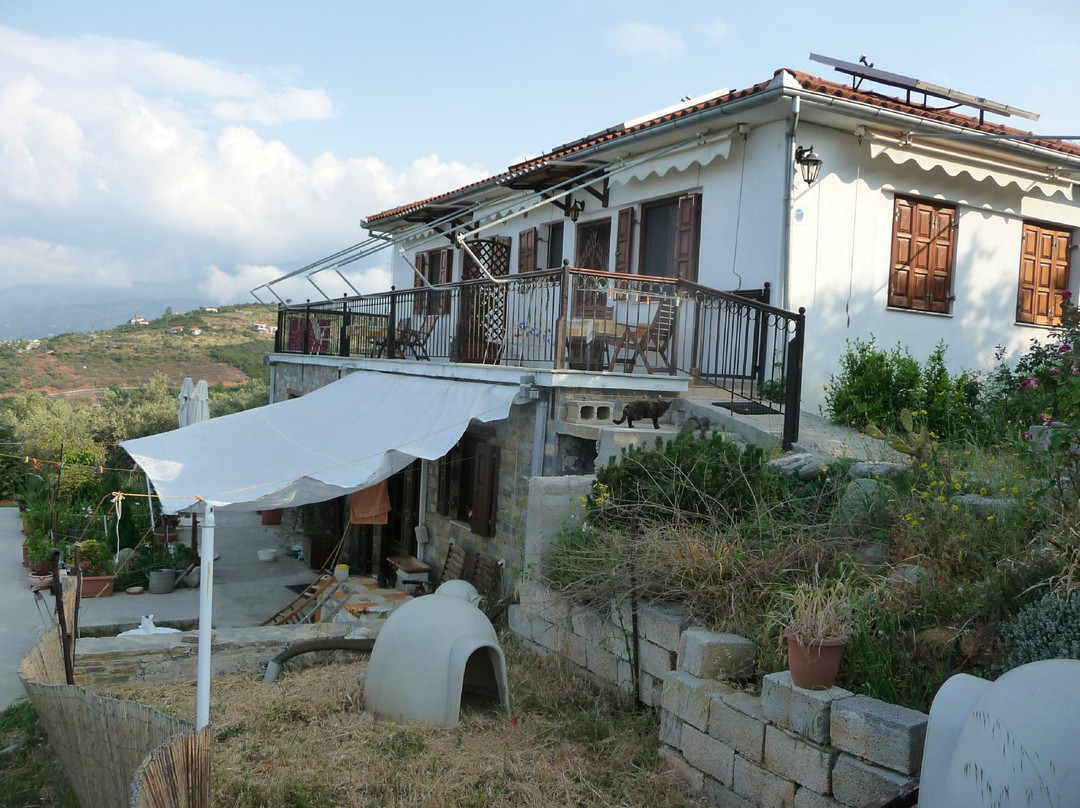 Studios Madalena