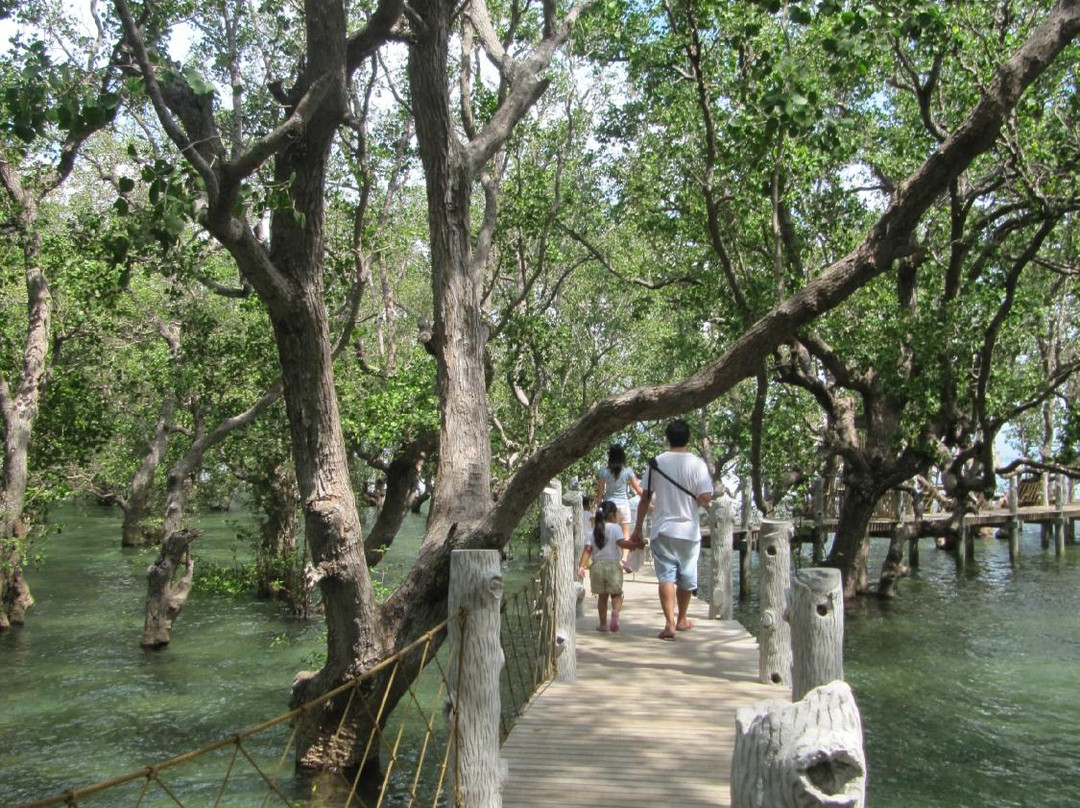 Tanjay City Board Walk-Tanjay必去景点
