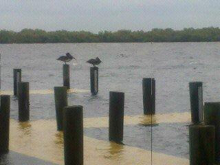 Harbor Heights Park-蓬塔戈尔达必去景点