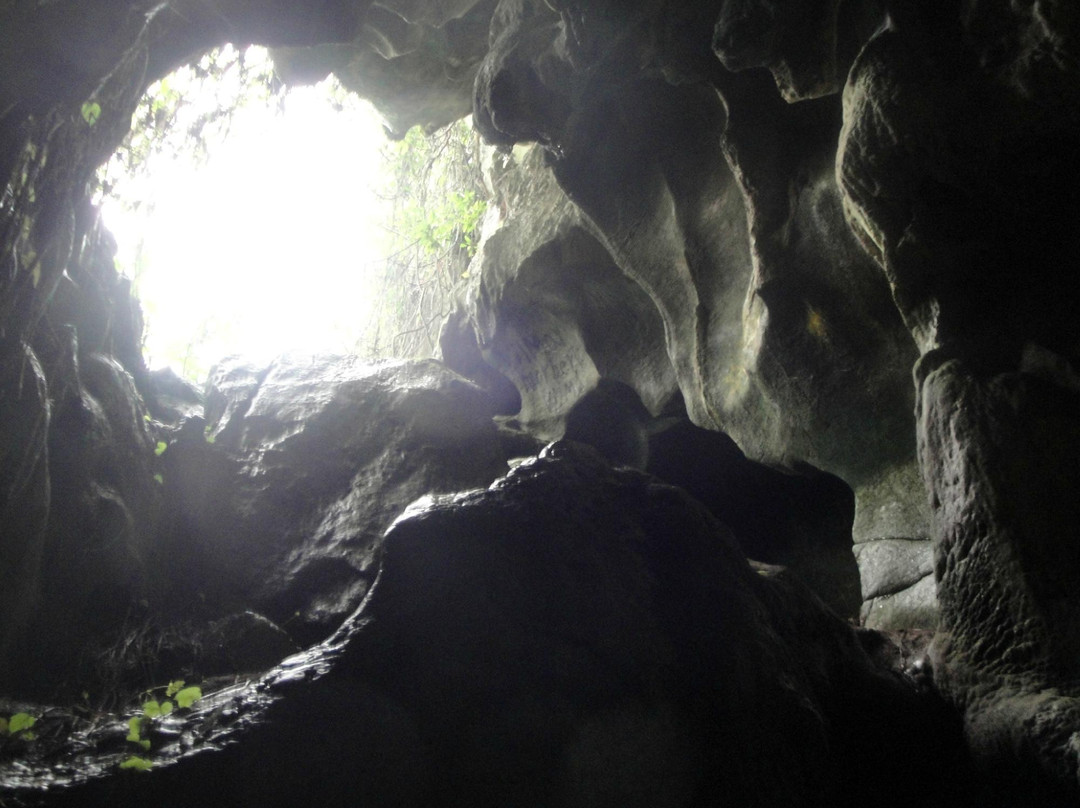 Cueva de la Mora景点图片