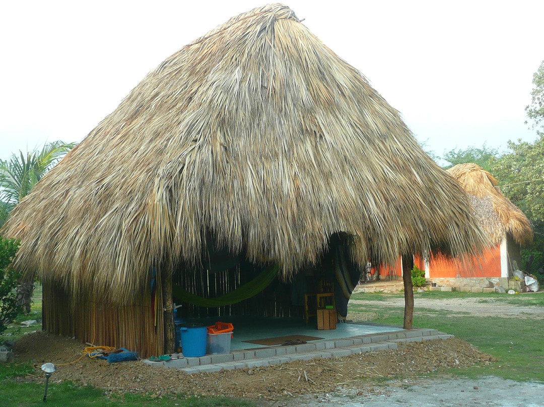 Cocoleoco