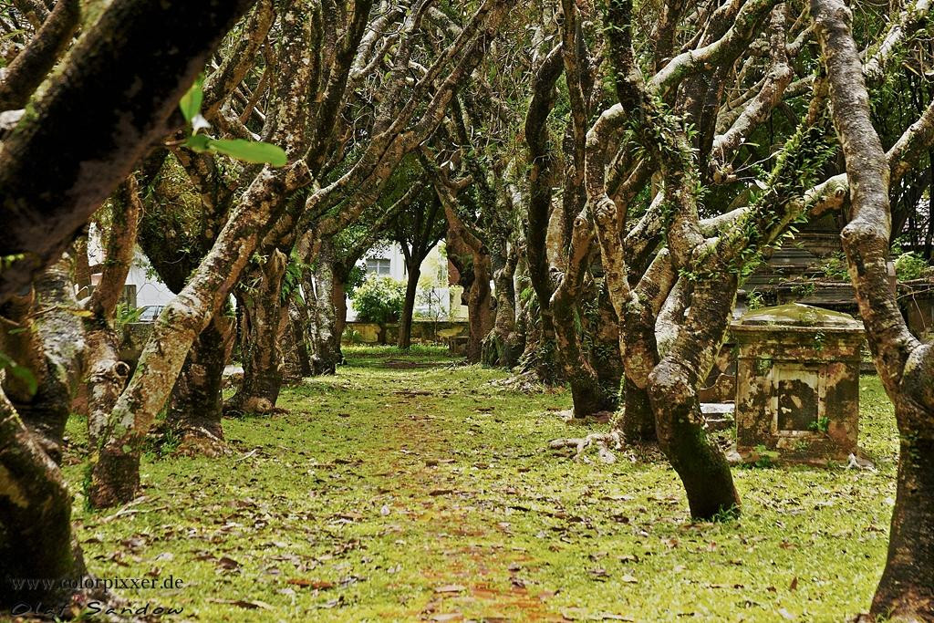基督教坟场-乔治城必去景点