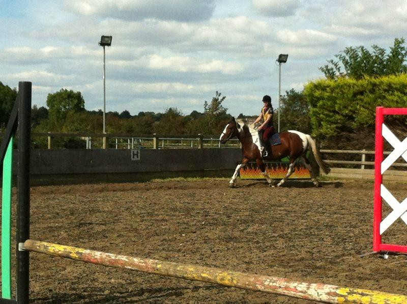 Crofton Manor Equestrian Centre景点图片