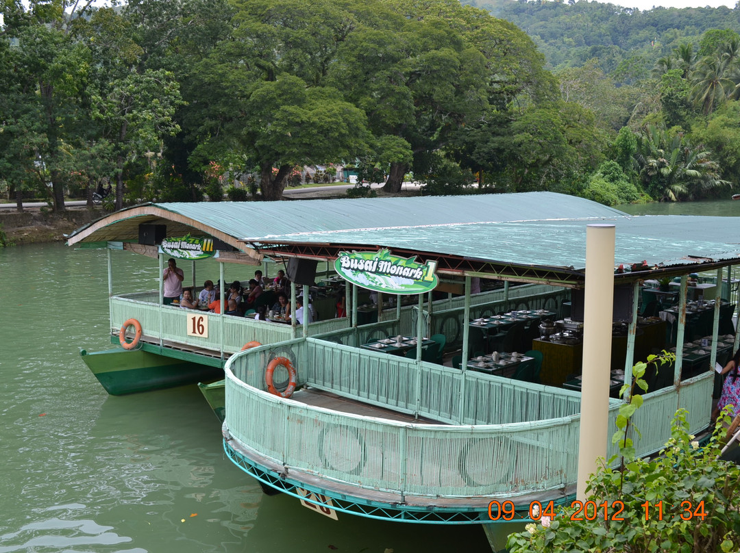 Loboc Ecotourism Adventure Park景点图片