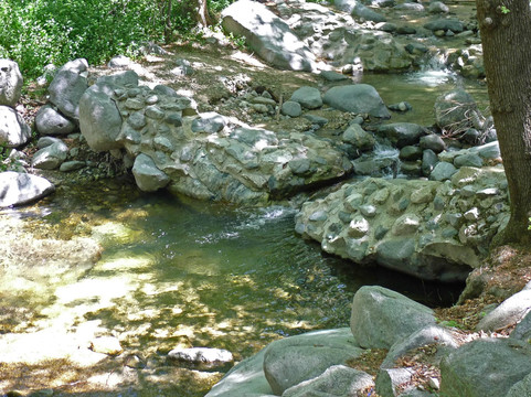 洛杉矶国家森林-阿卡迪亚必去景点