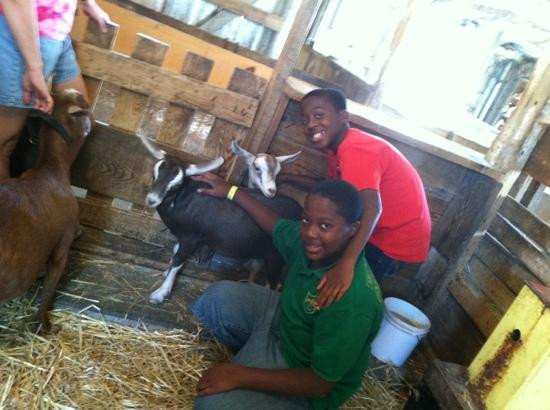 Grandpa Tiny's Farm-弗兰肯默斯必去景点