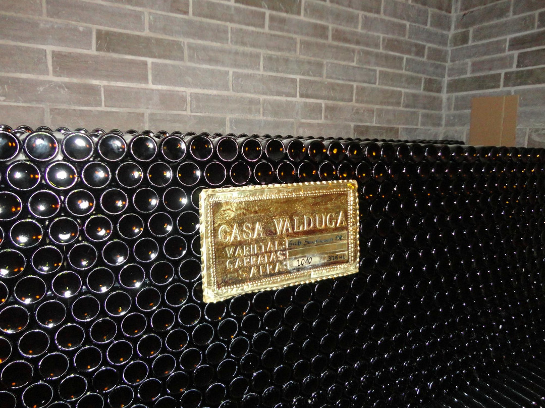 Casa Valduga Winery-本图贡萨尔维斯必去景点