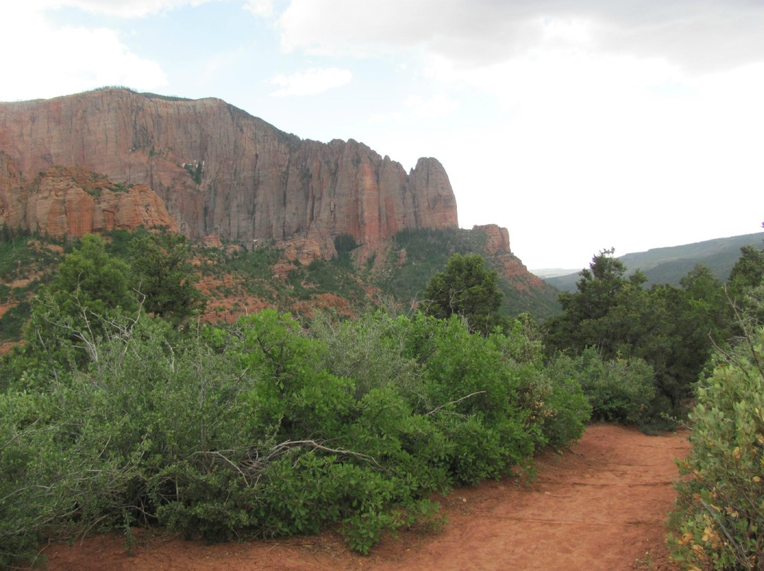 La Verkin Creek/Kolob Arch Trails-锡安国家公园必去景点