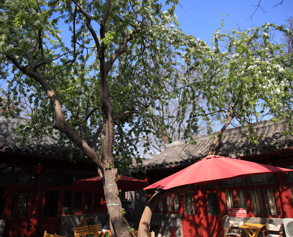 易静小栈四合院客栈主图