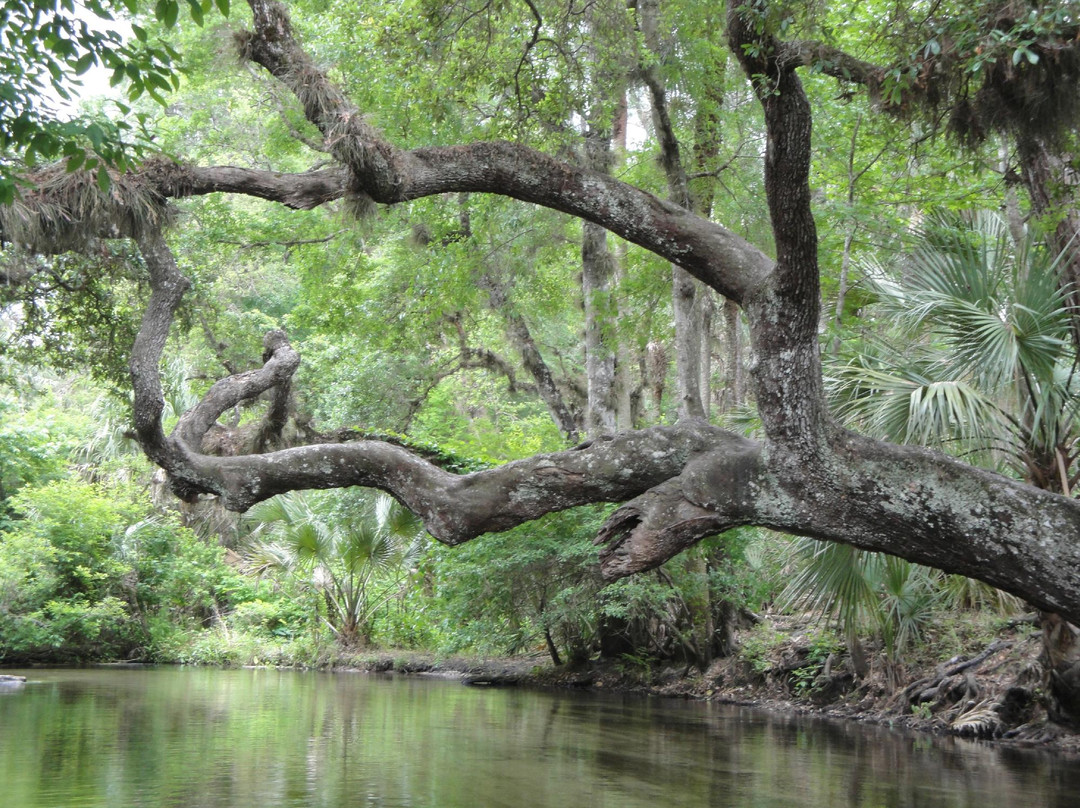King's Landing-Apopka必去景点