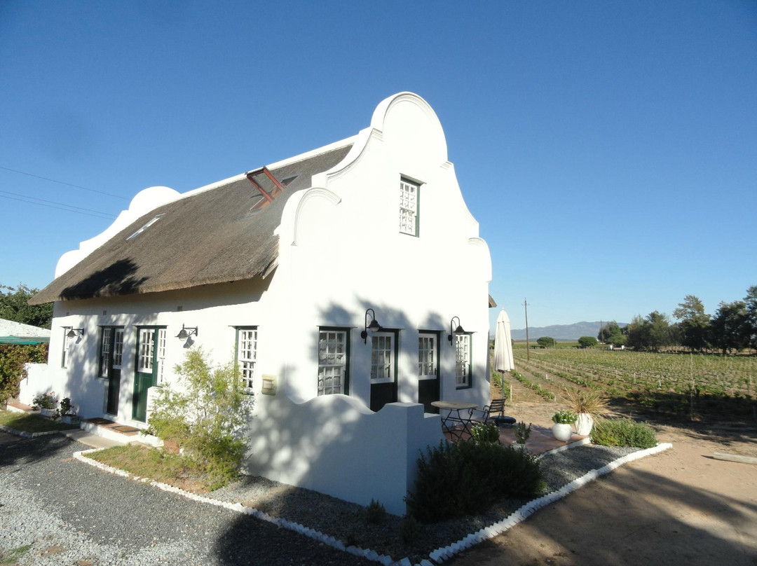 Jacaranda Wine and Guestfarm