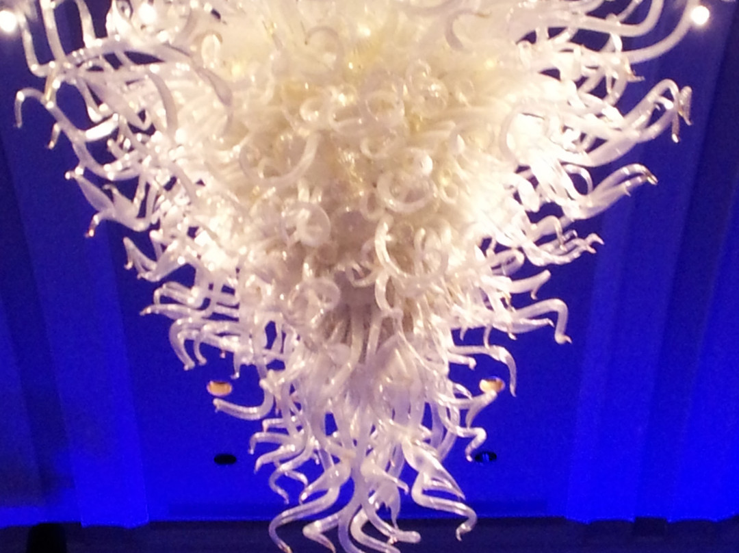 Chihuly Collection-圣彼德斯堡必去景点