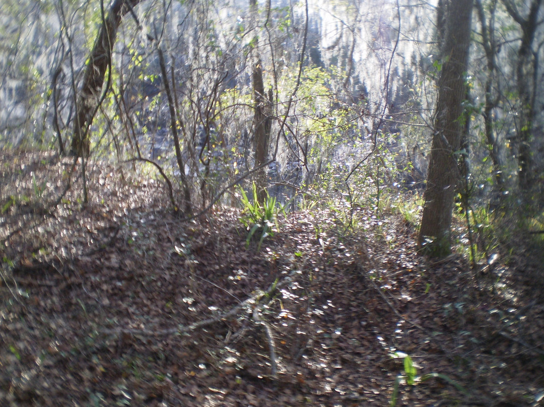 McCulley Farm-Jasper必去景点