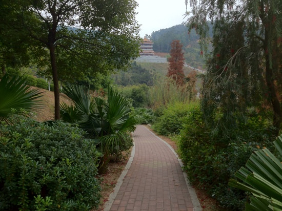 水濂山森林公园-东莞市必去景点