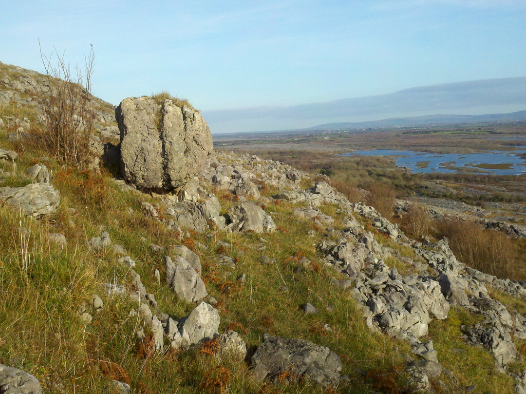 Burren Experience Guided Walks-Corofin必去景点
