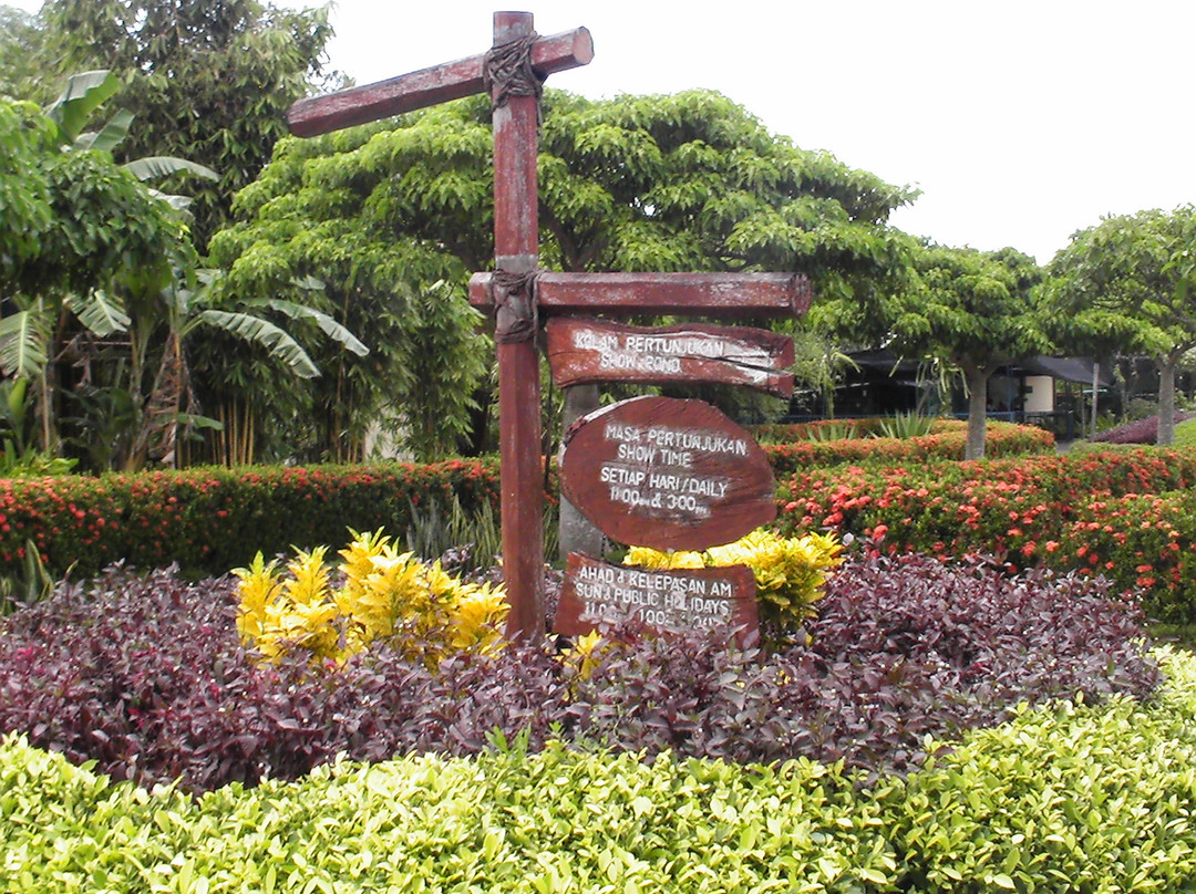 斗亚兰鳄鱼养殖场-斗亚兰必去景点