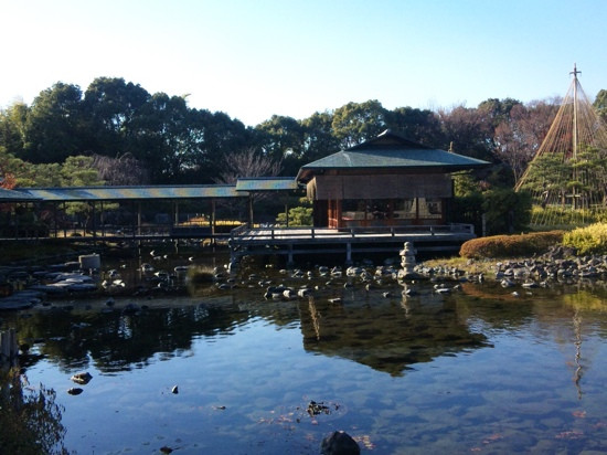 白鸟庭园-名古屋市必去景点