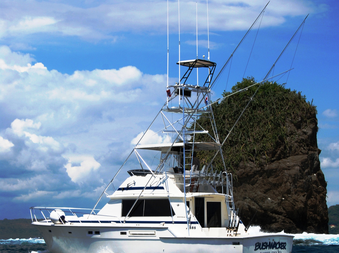 Bushwacker Sportfishing景点图片