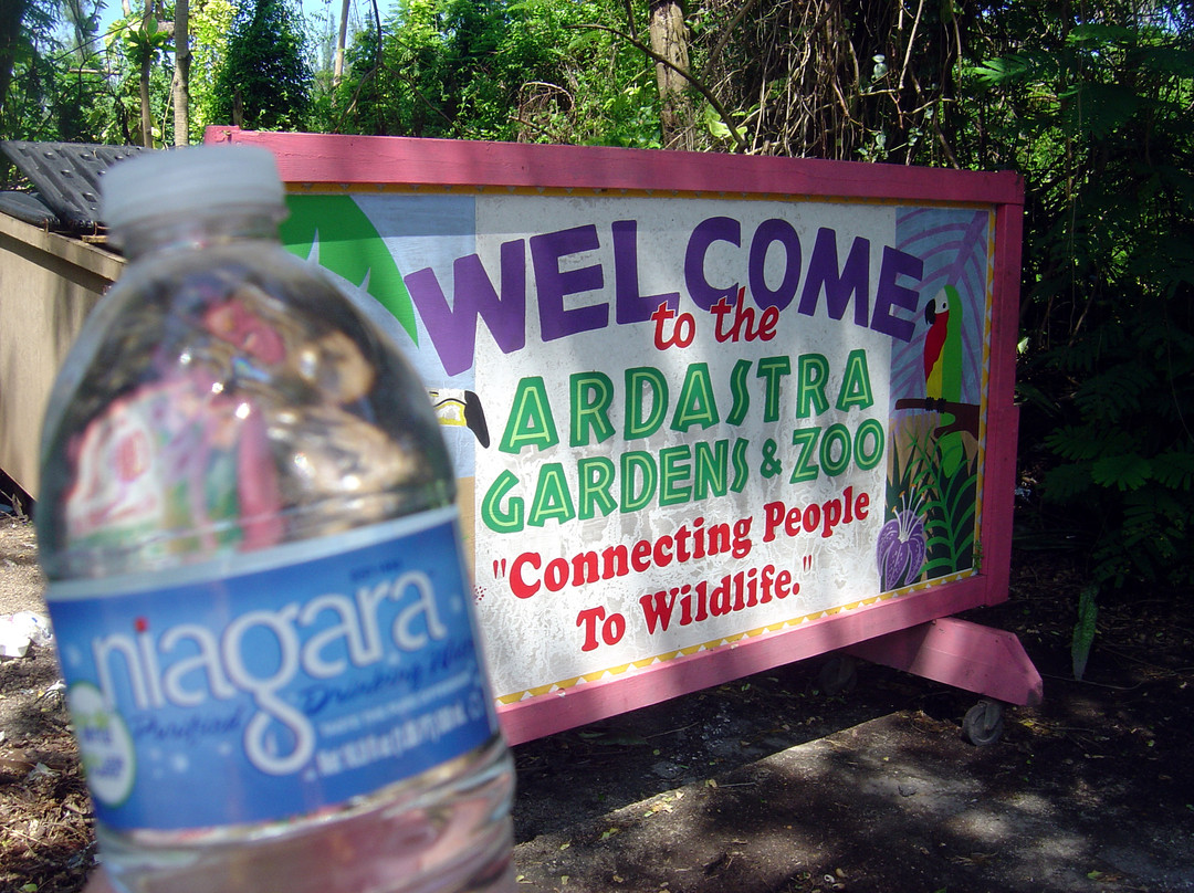 Ardastra Gardens & Wildlife Conservation Centre-拿骚必去景点