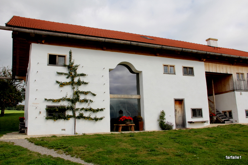 Pension Egglhof-客卧