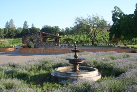 Il Gioiello Winery and Morse Wines景点图片