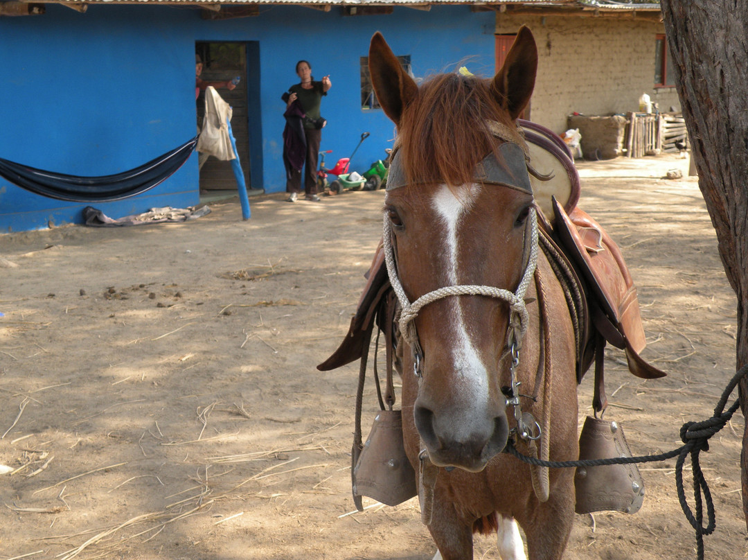Rancho Santana horseback riding Peru-帕科拉必去景点