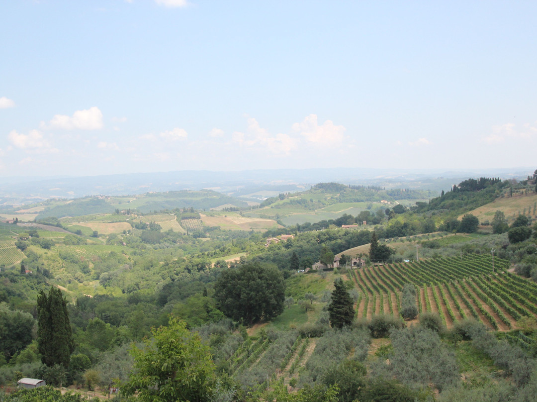 Tenuta Guardastelle - Boutique Winery景点图片