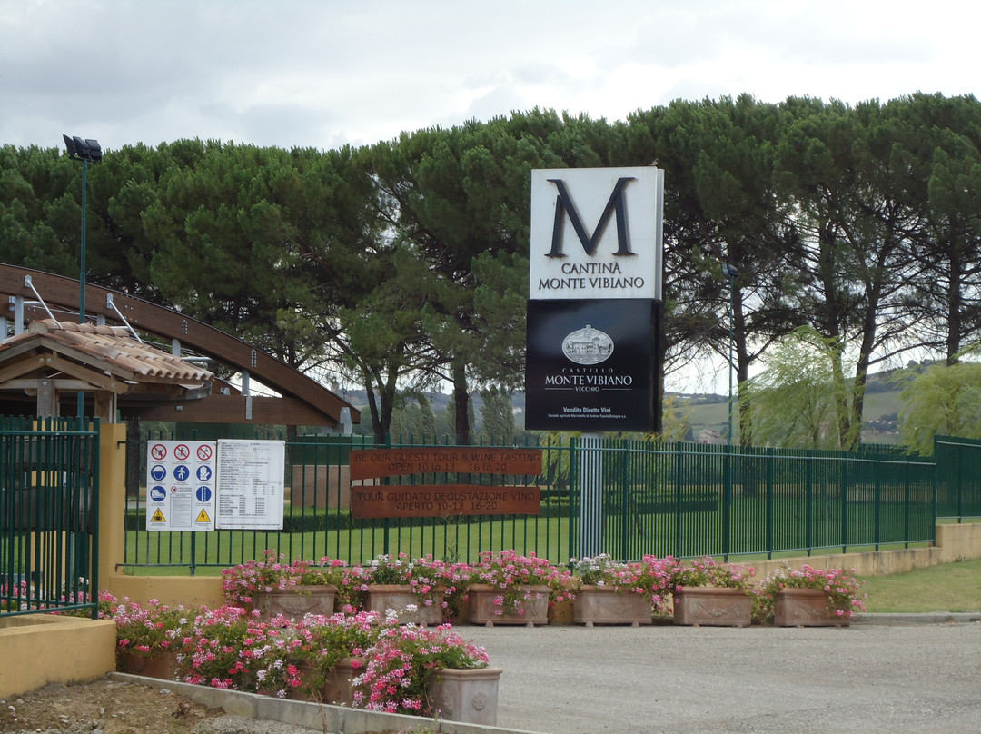 Castello Monte Vibiano Vecchio景点图片