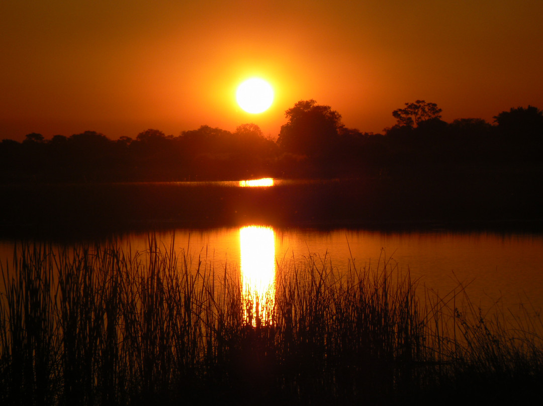 Nkasa Rupara National Park景点图片
