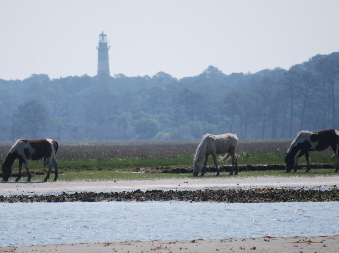 Daisey's Island Cruises-钦科蒂格岛必去景点