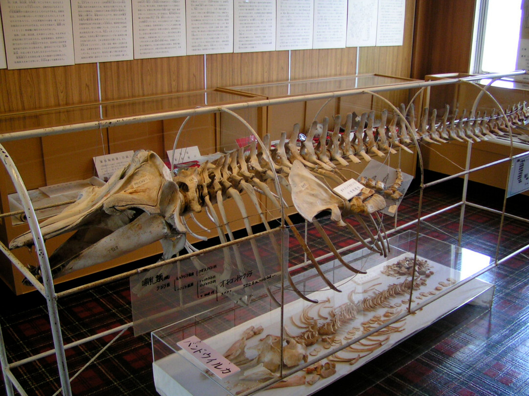 Hondo Museum of History and Folklore-天草市必去景点